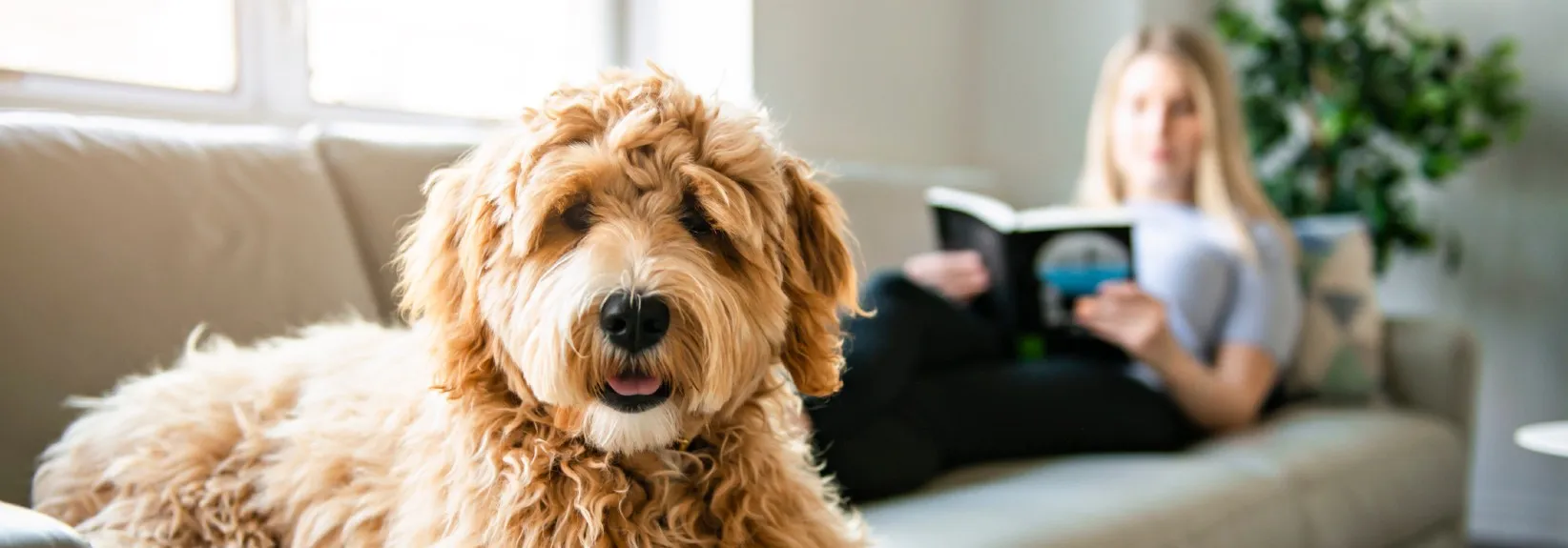 How Often Should You Do AC Maintenance?  blog image