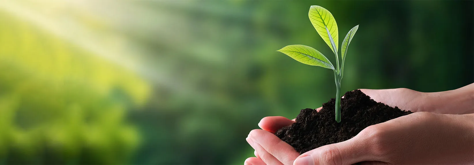 Why Energy Efficiency in HVAC Is Important for Earth Day blog image