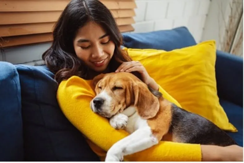 A Pet Owner’s Guide to HVAC Maintenance blog image